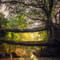1577103297 meghalaya.jpg?w=60&h=60&dpr=1